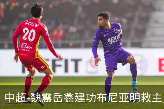 中超-魏震岳鑫建功布尼亚明救主 玉昆4分钟连扳两球2-2海港